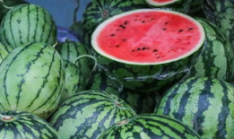 库尔勒吃瓜最新事件爆料,揭秘背后真相与网络热议背后的故事